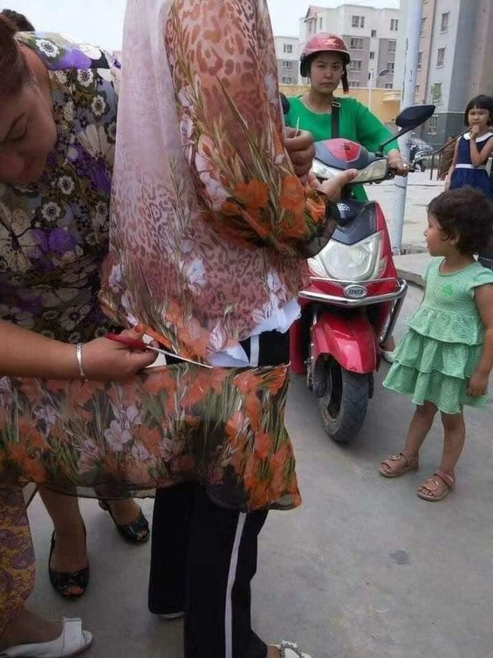 whatsapp_image_2025-10-15_at_22-08-26_34f730e3